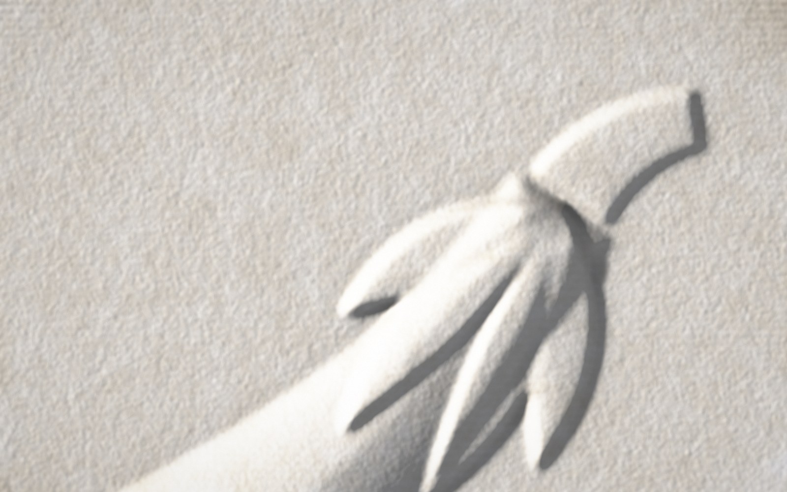 Raking light across a blind-embossed cotton print, showing the calyx of an eggplant standing above its body, with crisp edges and deep shadows.